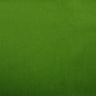 Europatex Barry Forest in Barry Green Multipurpose Cotton  Blend Fire Rated Fabric Duck CA 117 Fire Retardant Upholstery 