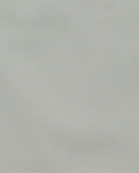 Blackout Eclipse Parchment by   