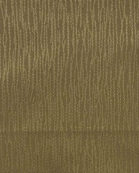 Blackout Nyx Gold by   