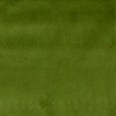 Europatex Bliss Grass Bliss Green Multipurpose Polyester Polyester Solid Green  Wide Widths for Events Solid Velvet  Fabric
