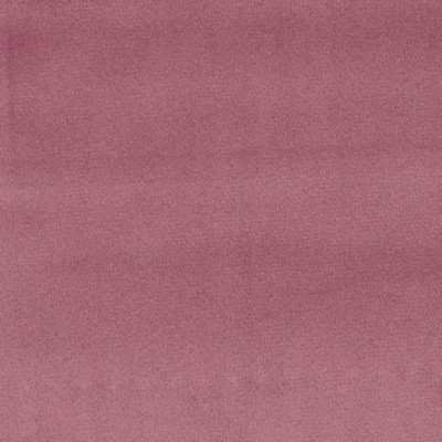 Europatex Bliss Mauve Bliss Purple Multipurpose Polyester Polyester Solid Purple  Wide Widths for Events Solid Velvet  Fabric