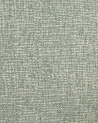 Carolina Aqua Chenille by   