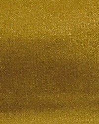 Casablanca 34 Velvet by   