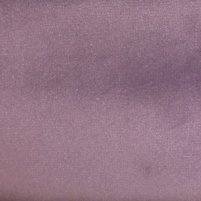 Europatex Casablanca 61 Velvet in Casablanca Velvet Purple Drapery-Upholstery Polyester Heavy Duty Solid Velvet 
