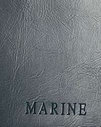 Derma Performance Marine Faux Leather by   