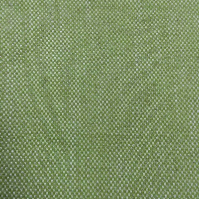 Europatex Dial Pistachio in sun-dial Green Multipurpose Polyester  Blend Patterned Chenille 