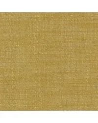 Emilia Mustard by   