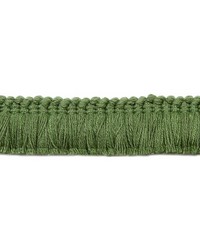 Granada Brush Fringe Kiwi by   
