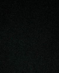 Europatex Ground Black Fabric