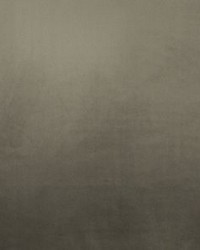 Leisure Driftwood Blackout Fabric by   