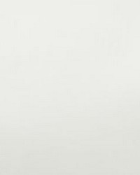 Leisure White Blackout Fabric by   