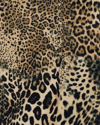 Leopard Black Tan by   