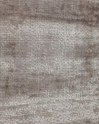 Liliana Solid Wheatberry by   