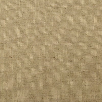 Europatex Lino Sand Lino Brown Multipurpose Viscose  Blend Heavy Duty Solid Color Linen Solid Brown  Fabric