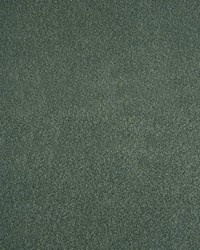 Merino Cactus by  Europatex 