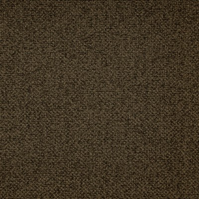 Europatex Oswego Bean Oswego Brown Multipurpose Polyester Polyester Heavy Duty Solid Brown  Woven  Fabric