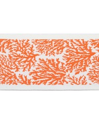 Pergola Coral Coral by   