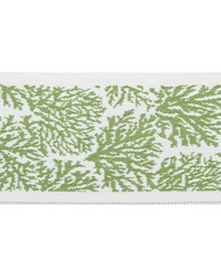 Pergola Coral Lime by   