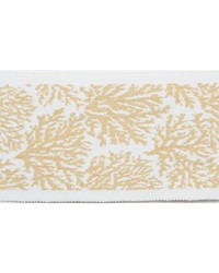 Pergola Coral Sunlight by   