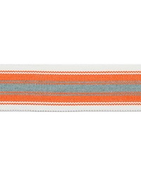 Pergola Striped Tape Coral by   