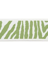 Pergola Zebra Lime by   