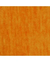 Portland Clementine by   