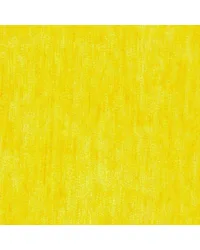 Portland Lemon by   