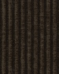 Richmond Brown Chenille Corduroy Stripe by   