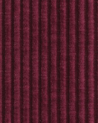 Richmond Ruby Chenille Corduroy Stripe by   