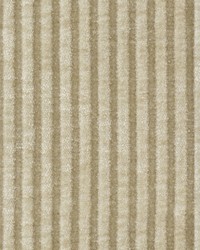 Richmond Sand Chenille Corduroy Stripe by   