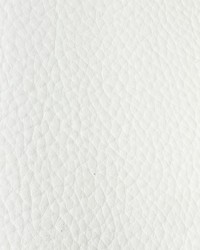 Summit Optic White by   