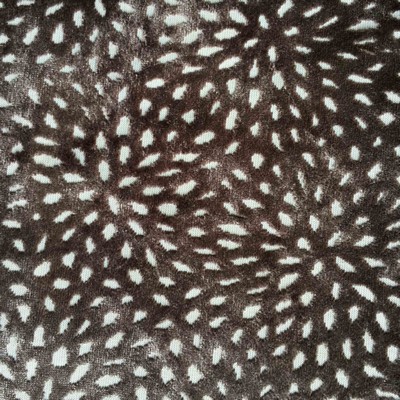 Europatex Sun Feather Velvet in sun-dial Grey Multipurpose Polyester  Blend Patterned Velvet 