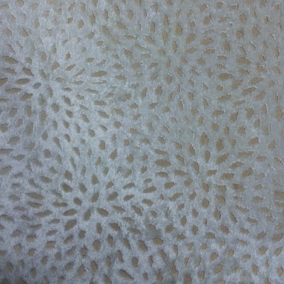 Europatex Sun Powder Velvet in sun-dial Beige Multipurpose Polyester  Blend Patterned Velvet 