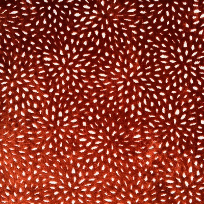 Europatex Sun Saffron Velvet in sun-dial Orange Multipurpose Polyester  Blend Patterned Velvet 