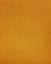 Texture Anopsia Mustard by   