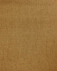 Texture Anopsia Pecan by   