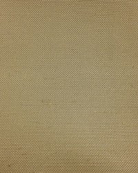 Texture Nebula Feather by   