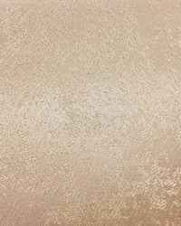 Texture Umbra Oyster by   