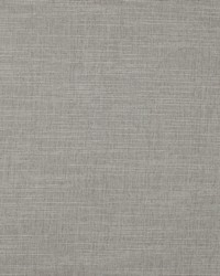 Theroy Chinchilla by   