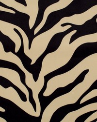 Zebra Black Tan by   