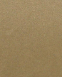 Polyester Taffeta 1815 by   