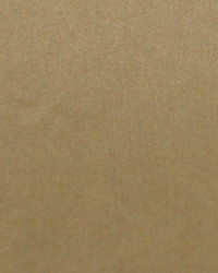 Polyester Taffeta 1815 by   