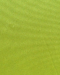 Polyester Taffeta 1846 by   