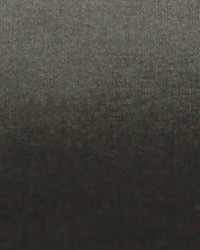 Polyester Taffeta 1848 by   