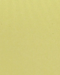 Polyester Taffeta 1850 by   