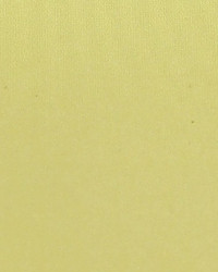 Polyester Taffeta 1850 by   