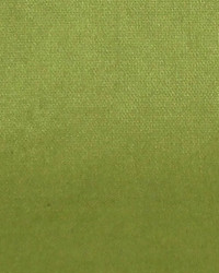 Polyester Taffeta 1851 by   