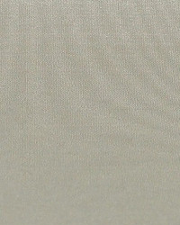 Polyester Taffeta 1858 by   