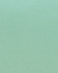 Polyester Taffeta 1861 by   