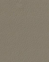 Auto Revolution G-Grain Medium Parchment Vinyl by   